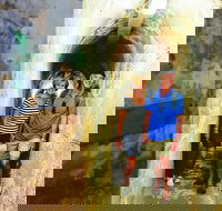 Rottnest Island Full-Day Trip With Guided Island Tour From Perth - Northern Rivers Accommodation