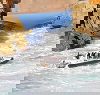 Horizontal Falls Half-Day Tour from Broome - Northern Rivers Accommodation