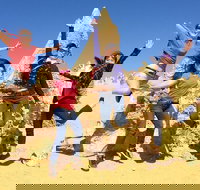 Pinnacles and Swan Valley Day Trip from Perth Including Caversham Wildlife Park Vineyard Lunch Pinnacles and Sandboarding - Northern Rivers Accommodation