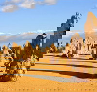 Pinnacles and Yanchep National Park Day Trip from Perth Including Lobster Shack Lunch and Sandboarding - Northern Rivers Accommodation