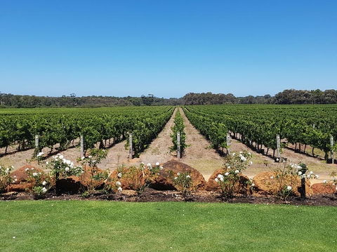 Margaret River Food, Wine & Sightseeing Tour From Perth - Northern Rivers Accommodation 5