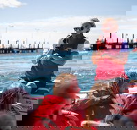 Rottnest Island Tour from Perth or Fremantle including Adventure Speed Boat Ride - Northern Rivers Accommodation