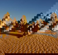 Pinnacles Day Trip from Perth Including Yanchep National Park - Northern Rivers Accommodation