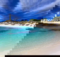 Rottnest Island Grand Tour Including Lunch and Historical Train Ride - Northern Rivers Accommodation