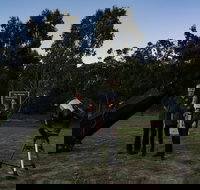 Stargazing Busselton with Mobile Observatory - Northern Rivers Accommodation