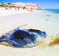 Private Custom Margaret River Tour - Northern Rivers Accommodation