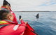 Private Custom Margaret River Tour - thumb 16