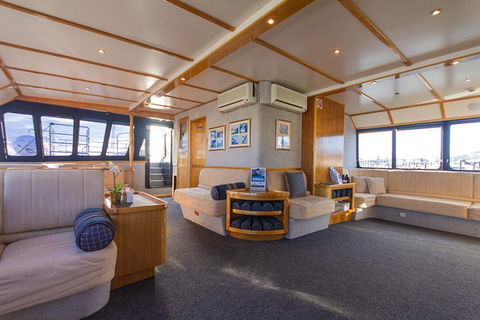 Blue Whale Perth Canyon Expedition - Northern Rivers Accommodation 4
