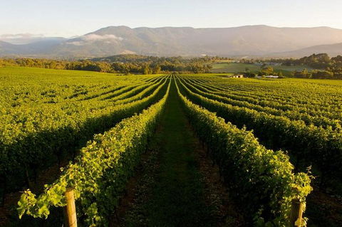 Full-Day Perth, Fremantle, Swan Valley Brewery - Northern Rivers Accommodation 1