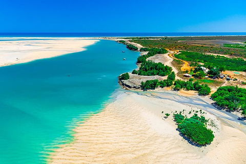 Willie Creek Pearl Farm Tour From Broome - Northern Rivers Accommodation 0