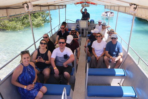 Willie Creek Pearl Farm Tour From Broome - Northern Rivers Accommodation 3