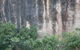 Windjana Gorge And Tunnel Creek 4WD Tour From Broome - thumb 2