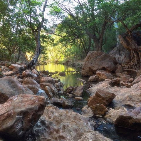 Windjana Gorge And Tunnel Creek 4WD Tour From Broome - Northern Rivers Accommodation 9