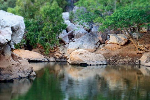 Windjana Gorge And Tunnel Creek 4WD Tour From Broome - Northern Rivers Accommodation 17