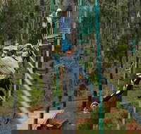 Busselton High Ropes and Zipline Adventure - Northern Rivers Accommodation