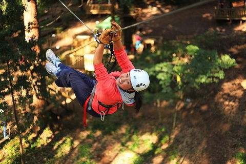 Trees Adventure Lane Poole Park - Treetop & Zipline Experience - Northern Rivers Accommodation 0