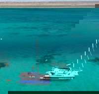 Whale Shark Swim by Catamaran in Shoulder Season