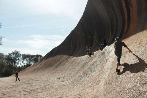 Wave Rock Half Day Air & Ground Tour - Northern Rivers Accommodation 6