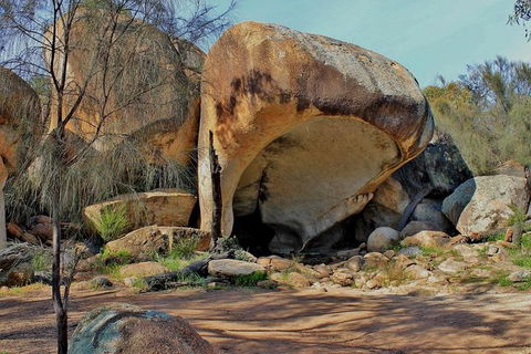 Wave Rock Half Day Air & Ground Tour - Northern Rivers Accommodation 4