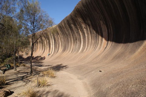 Wave Rock Half Day Air & Ground Tour - Northern Rivers Accommodation 7