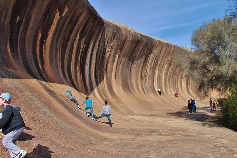 Wave Rock Half Day Air & Ground Tour - Northern Rivers Accommodation 8