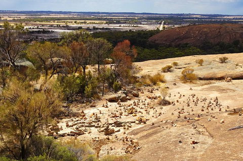 The Big Wave Rock (Private) Day Tour - Northern Rivers Accommodation 10
