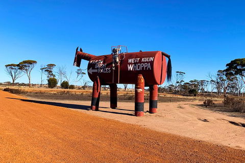 The Big Wave Rock (Private) Day Tour - Northern Rivers Accommodation 12