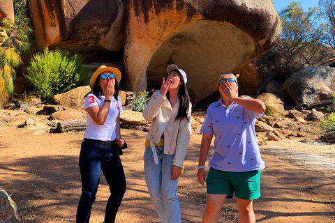 The Big Wave Rock (Private) Day Tour - Northern Rivers Accommodation 9