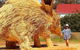 The Big Wave Rock (Private) Day Tour - thumb 16