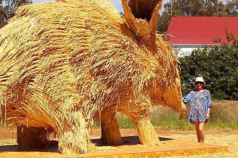 The Big Wave Rock (Private) Day Tour - Northern Rivers Accommodation 16