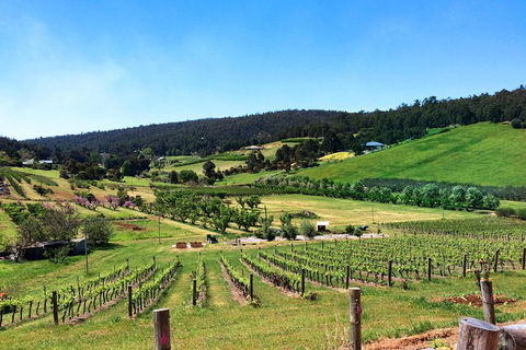 Cider, Wine & Cheese In The Perth Hills - Half-Day Premium Small Group Tour - Northern Rivers Accommodation 1