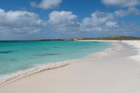 Pink Lake And Abrolhos Full Day Fly And Flipper - Northern Rivers Accommodation 0