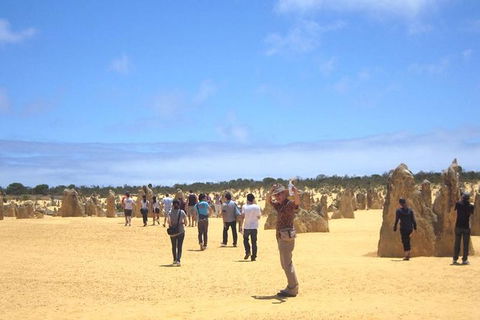 Pinnacles & Rottnest Island Scenic Air & Ground Tour - Northern Rivers Accommodation 10