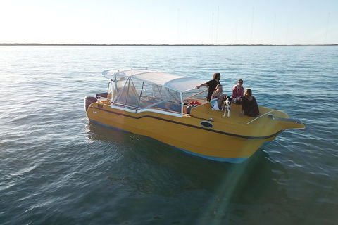 Turtle Tours On The Ningaloo Reef, Exmouth. 1/2 Day Cruise. - Northern Rivers Accommodation 8