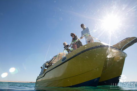 Turtle Tours On The Ningaloo Reef, Exmouth. 1/2 Day Cruise. - Northern Rivers Accommodation 7