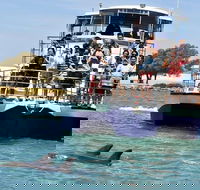 Mandurah Dolphin and Scenic Marine Cruise - Northern Rivers Accommodation
