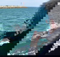 Mandurah Dolphin Island Adventure - Northern Rivers Accommodation