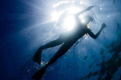 Ningaloo Reef Or Muiron Islands Snorkeling And Wildlife Adventure - Northern Rivers Accommodation 6