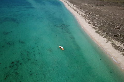 Ningaloo Reef Or Muiron Islands Snorkeling And Wildlife Adventure - Northern Rivers Accommodation 10