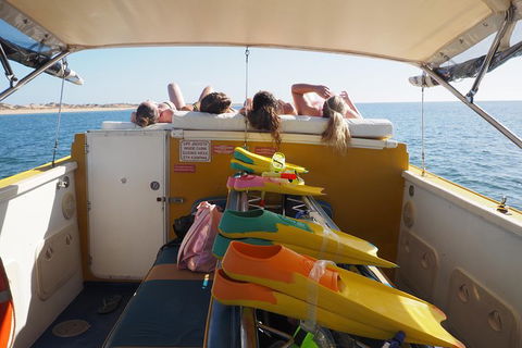 Ningaloo Reef Or Muiron Islands Snorkeling And Wildlife Adventure - Northern Rivers Accommodation 11