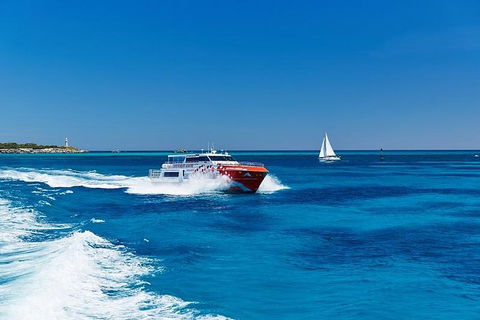 Rottnest Island Round-Trip Ferry From Perth Or Fremantle - Northern Rivers Accommodation 5
