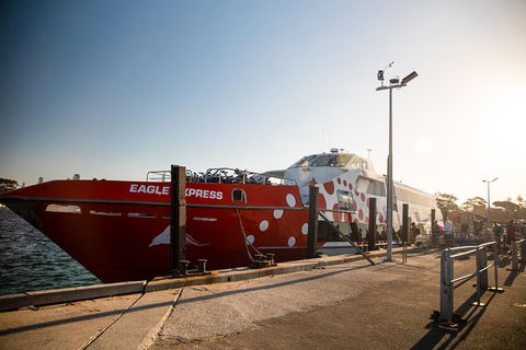 Rottnest Island Round-Trip Ferry From Perth Or Fremantle - Northern Rivers Accommodation 4