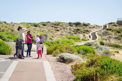 Margaret River Coastal And Wildlife Eco Trip From Busselton Or Dunsborough - Northern Rivers Accommodation 1