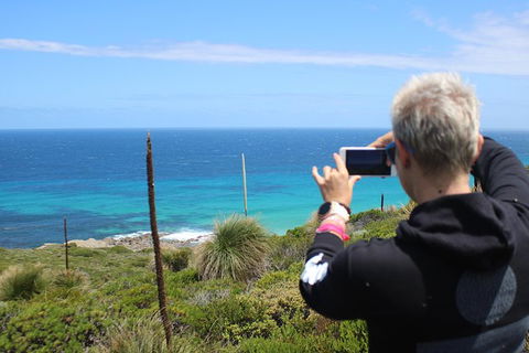 Margaret River Coastal And Wildlife Eco Trip From Busselton Or Dunsborough - Northern Rivers Accommodation 12
