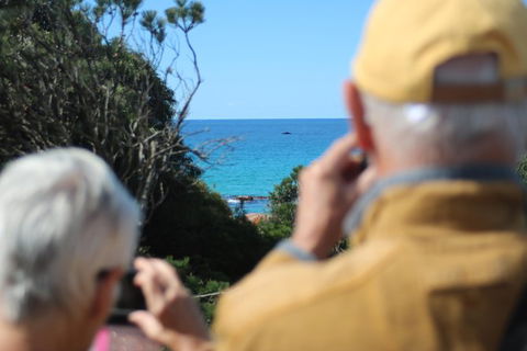 Margaret River Coastal And Wildlife Eco Trip From Busselton Or Dunsborough - Northern Rivers Accommodation 9