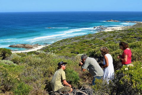 Margaret River Coastal And Wildlife Eco Trip From Busselton Or Dunsborough - Northern Rivers Accommodation 2