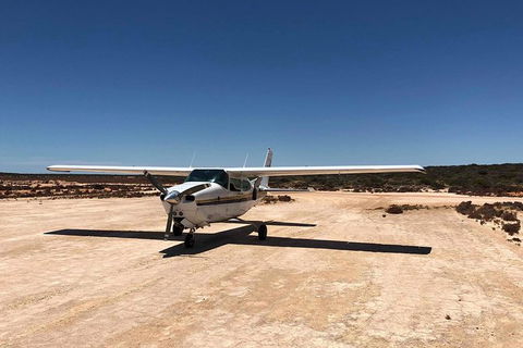 Kalbarri Gorges & West Coast - Ground & Air Tour - Northern Rivers Accommodation 6