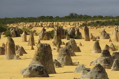 Pinnacles Desert Scenic Flight And Ground Tour - Northern Rivers Accommodation 2
