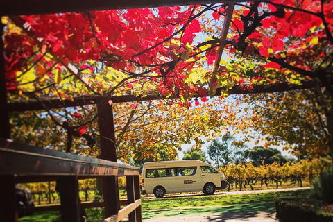 Ultimate Swan Valley Food And Wine Day Trip From Perth - Northern Rivers Accommodation 12