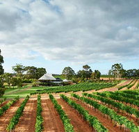 Vasse Felix Winery Tour and Tasting - Northern Rivers Accommodation